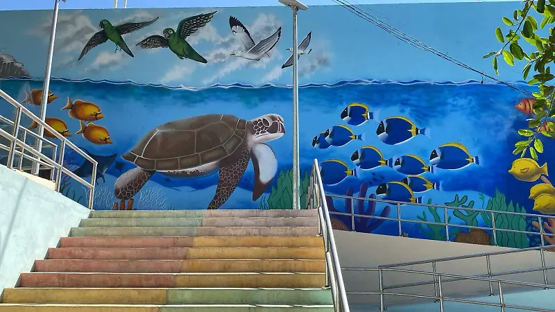 Mural Tortuga